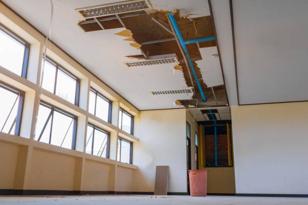 Best 24/7 water damage repair  in Viola, IL