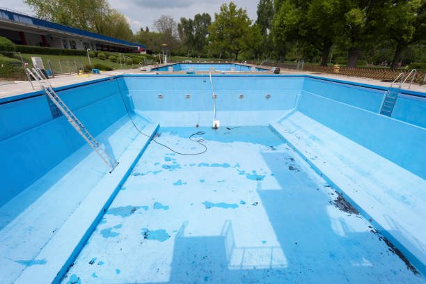 Best Professional water damage repair  in Viola, IL
