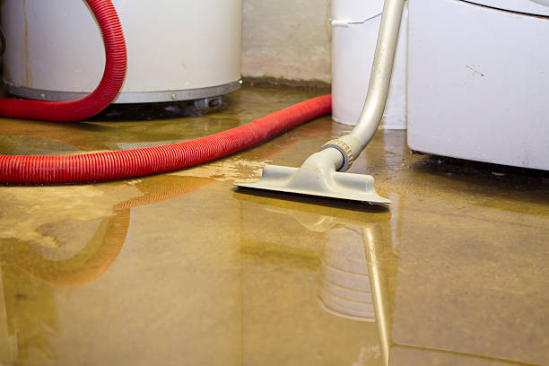 Best Water damage restoration insurance claims  in Viola, IL