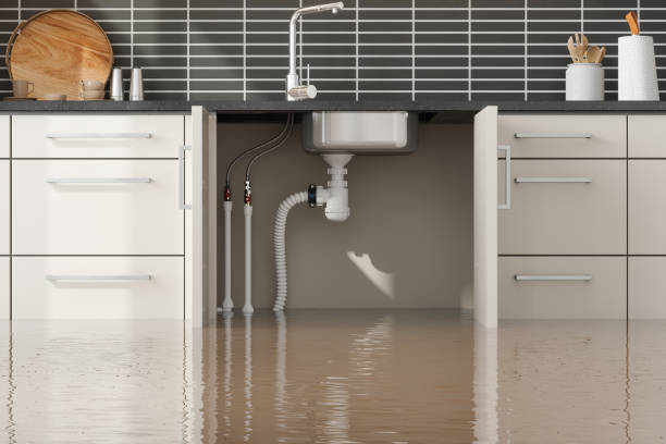 Best Flood restoration services  in Viola, IL