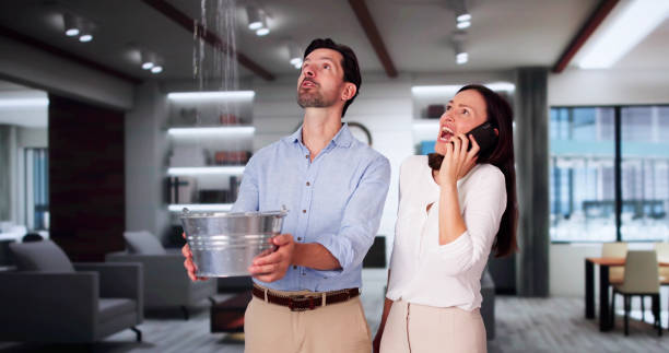 Best Residential water damage restoration  in Viola, IL